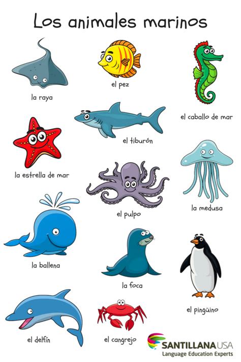 Los Animales Marinos Learning Spanish Spanish Vocabulary Preschool