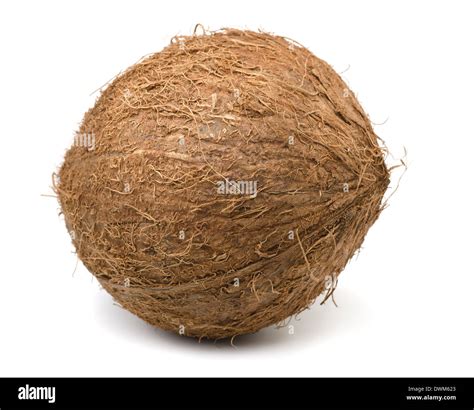 Single Coconut Isolated On White Stock Photo Alamy