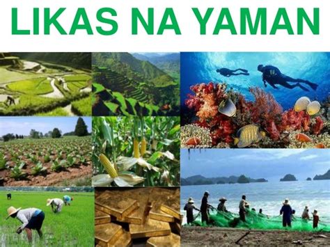 Mga Likas Na Yaman Ng Pilipinas Part I Araling Panlip