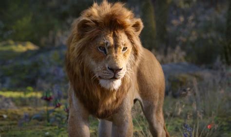 ‘the Lion King Roars To The Top Of The Box Office 947 Wls Wls Fm