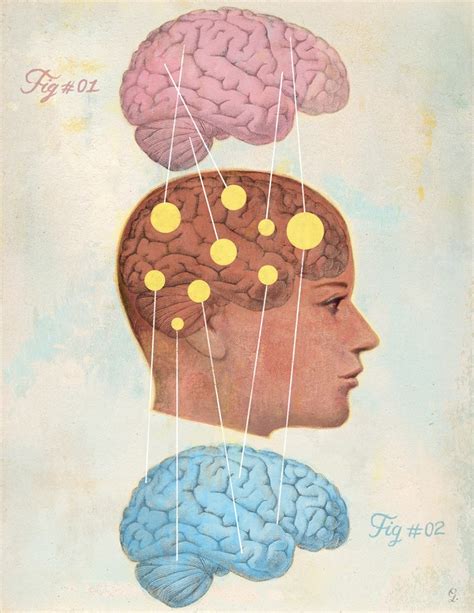 How Men S And Women S Brains Are Different Stanford Medicine