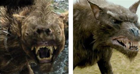 Why Do You Think The Wargs Look Different In Lotr Vs The Hobbit R