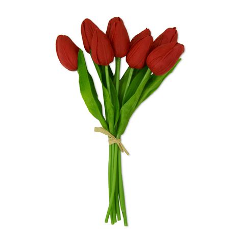 Top 200 Flores Tulipanes Precio Abzlocalmx