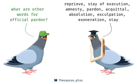 31 Official Pardon Synonyms Similar Words For Official Pardon