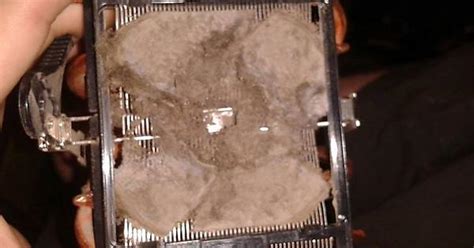 Friend Said His Computer Is Overheating A Lot Lately Hmmm Let Me