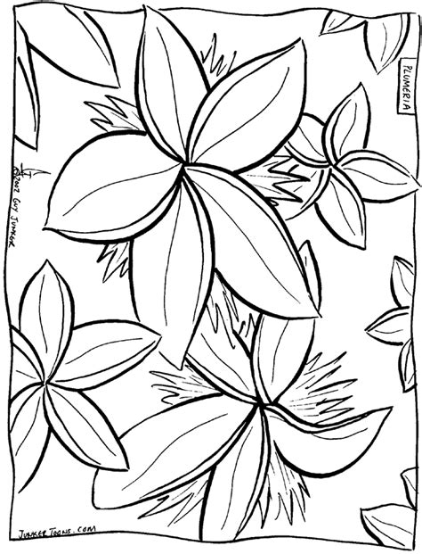 Tropical flower tropical flower flowers background floral decoration nature ornament decorative almost files can be used for commercial. Hawaiian Flower Coloring Pages - GetColoringPages.com