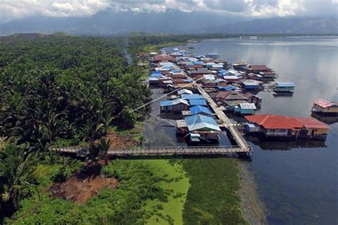 Hutan Sagu Kampung Yoboi Papua Antara Foto