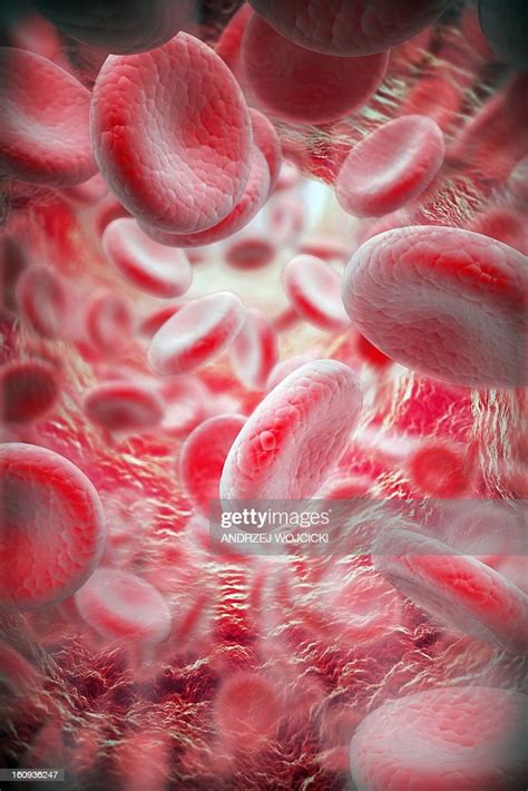 Red Blood Cells Artwork High Res Vector Graphic Getty Images