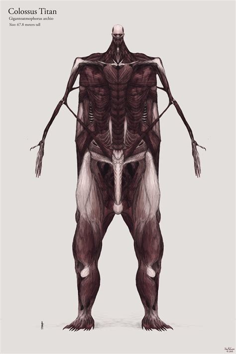 My Finished Redesign Of The Colossus Titan Rattackontitan