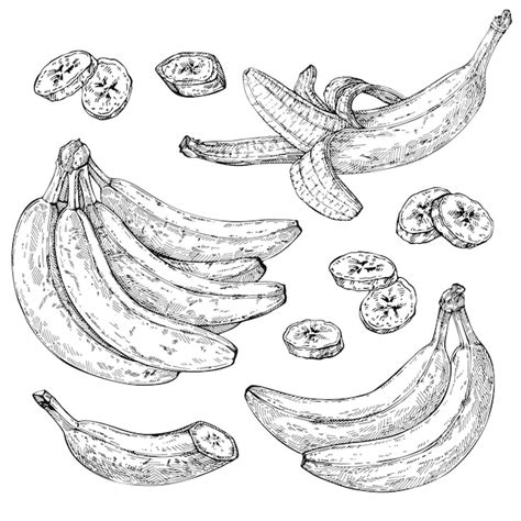 Premium Vector Sketch Banana Set Isolated Hand Drawn Bunch Sliced
