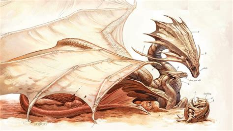 This Mother Dragon And Her Dragon Baby Are The Cure For Monday