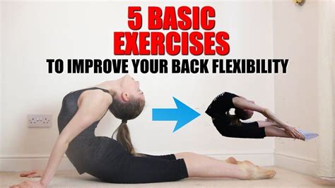 5 Basic Back Stretches To Improve Your Back Flexibility Youtube Back Flexibility