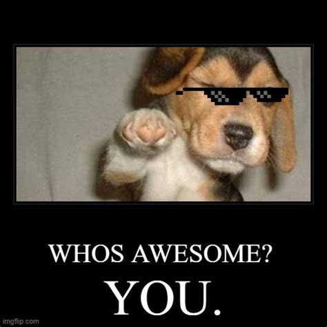 Whos Awesome Youre Awesome Dog