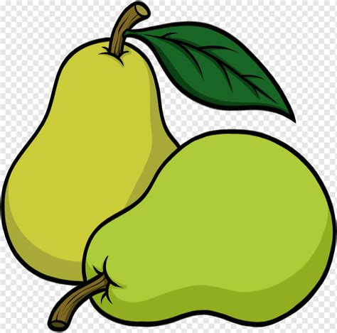 Pear Drawing Pear Food Leaf Fruit Png Pngwing