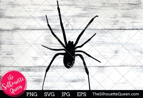 Party And Ting Craft Supplies And Tools Spider Cricut Spider Cut File
