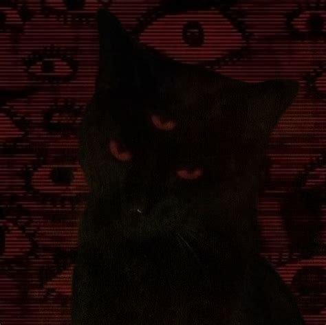 Demonic Cat With Red Eyes Demon Cat Grey Cat Wallpaper Dark Red
