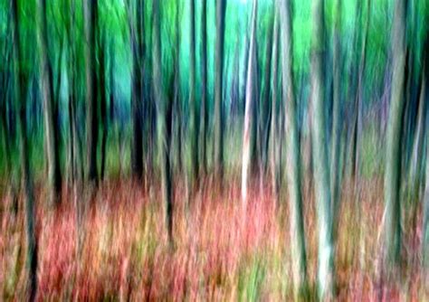 Painted Forest Doug Hockman Photography