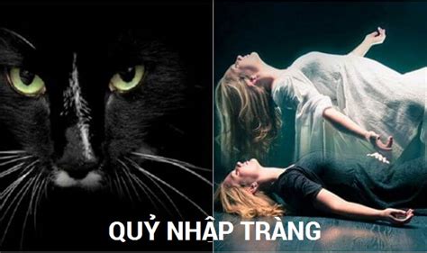 “quỷ Nhập Tràng” Mèo Nhảy Qua Xác Chết Và Những Bí ẩn được Hé Lộ