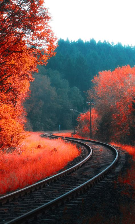 1280x2120 Railway Autumn Forest Iphone 6 Hd 4k Wallpapers Images