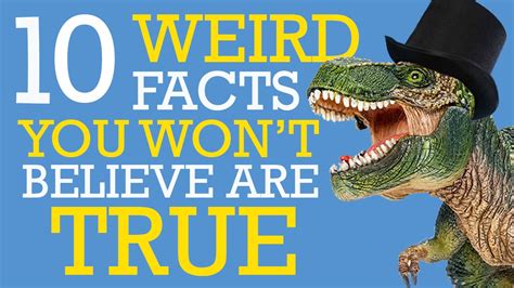 10 Weird Facts You Wont Believe Are True But Yeah Theyre True