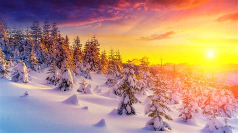 Only the best hd background pictures. Sunset In Winter Landscape Snow Tree Trees Snowdrops ...