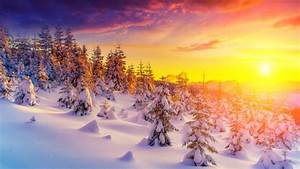 Sunset, In, Winter, Landscape, Snow, Tree, Trees, Snowdrops
