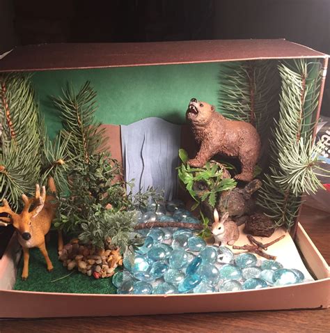 Diorama Forrest Biome. Deciduous Forrest | Habitats projects, Biomes