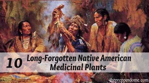 10 Long Forgotten Native American Medicinal Plants The