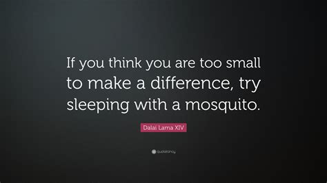 We have all played the classic telephone game, where a message starts the first one is the actual dalai lama quote and the second italicized one is the translated one. Dalai Lama XIV Quote: "If you think you are too small to make a difference, try sleeping with a ...