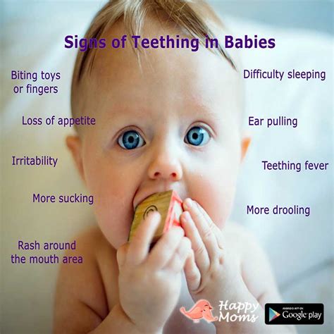 Teething In Babies Symptoms Remedies And Timeline Happy Moms