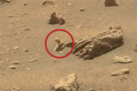 Aliens On Mars Tiny Reptile Found In Nasa Picture Of Red Planet