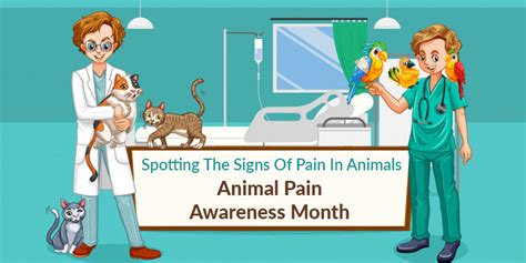 Signs Of Pain In Animals Animal Pain Awareness Month Canadavetcare