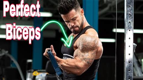 how to increase bicep size top 5 biceps workout exercises youtube