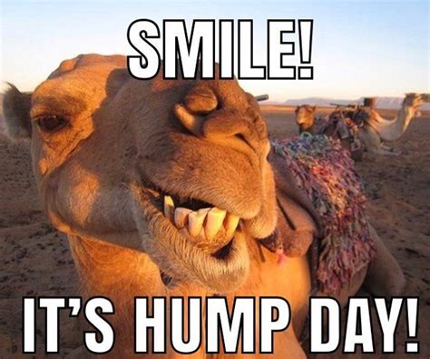 Happy Hump Day It’s All Downhill From Here Hump Day Quotes Funny Funny Good Morning Memes