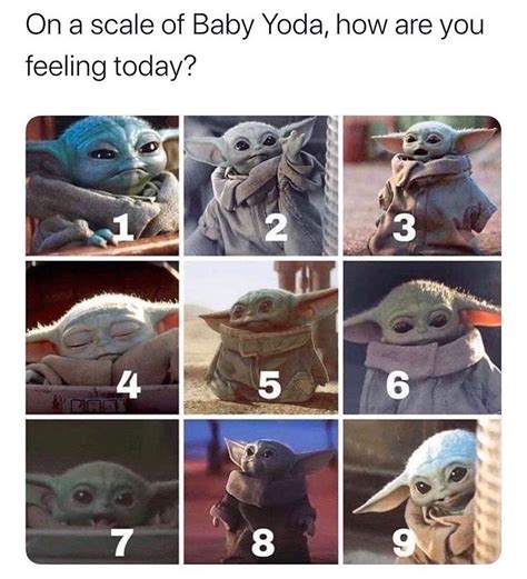 On A Scale Of How Are You Feeling Today Meme
