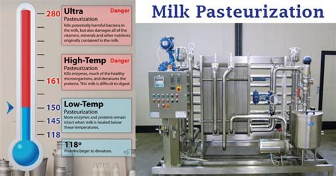Milk Pasteurization Definition Methods Steps Significance
