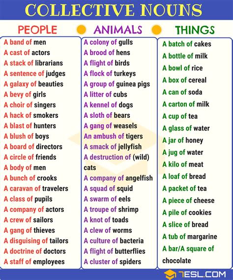 The Different Types Of Animals And Their Names