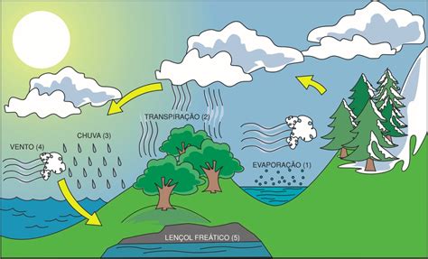 El Ciclo Del Agua Tambien Conocido Como Ciclo Hidrologico Tiene Cinco