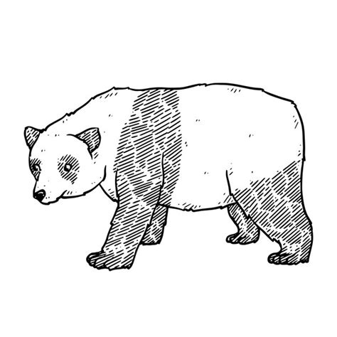 Premium Vector Hand Drawn Panda In Doodle Style Sketch