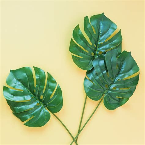 Drie Grote Groene Palmbladeren Op Tafel Gratis Foto