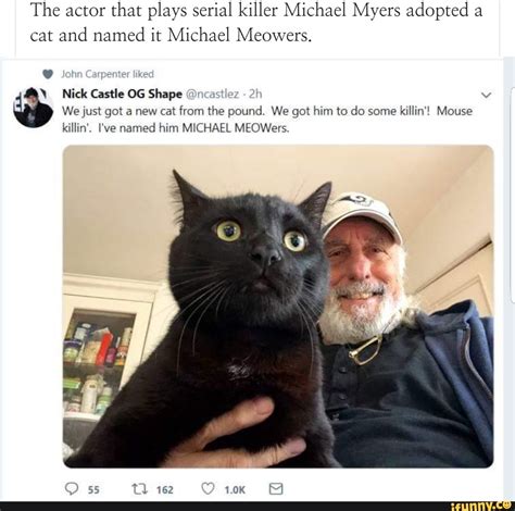 Share the best gifs now >>>. Plays Myers adopted cat and named it Michael Meowers ...