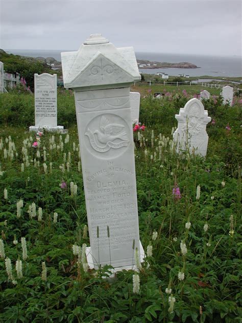 Stonepics Sample Photos Newfoundland Canada Cemeteries Genealogy