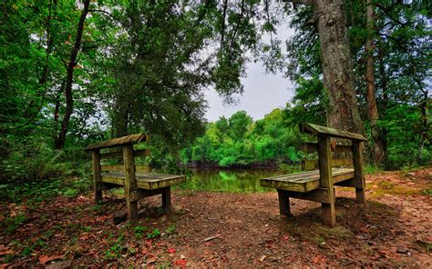 Bench Hd Wallpaper Background Image 2560x1600