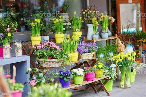 Outdoor Flower Market On A Parisian Street Stock Photo Download Image
