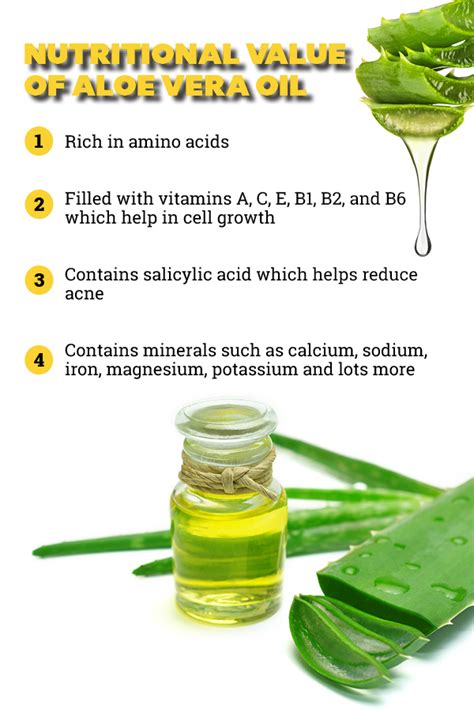 Aloe Vera Oil For Hair Benefits And How To Make It