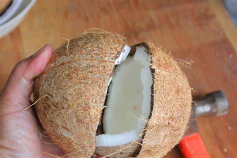 3 ways to open a coconut wikihow