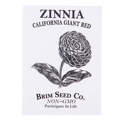 Brim Seed Co Zinnia California Giant Red Flower Seed Azure Standard