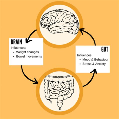 Mental Health And The Gut Brain Axis Encounter Youth