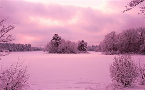 Download high quality pink backgrounds for your mobile, desktop or website from our stunning collection. Purple Sunset over Winter Landscape Wallpaper and ...