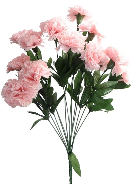 Pink carnation png clipart image. Light carnation clipart - Clipground